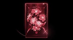 Xenia Rubinos Youtube