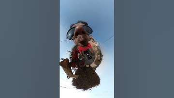 Insta360 Camera Tiny Planet Funny video #shorts #funny #mrrafansakib #insta360