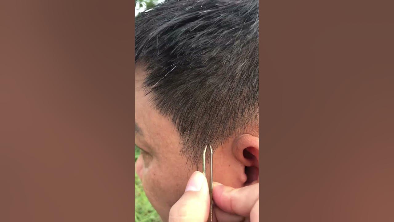 pull-out-gray-hair-for-mr-viet-shorts-youtube