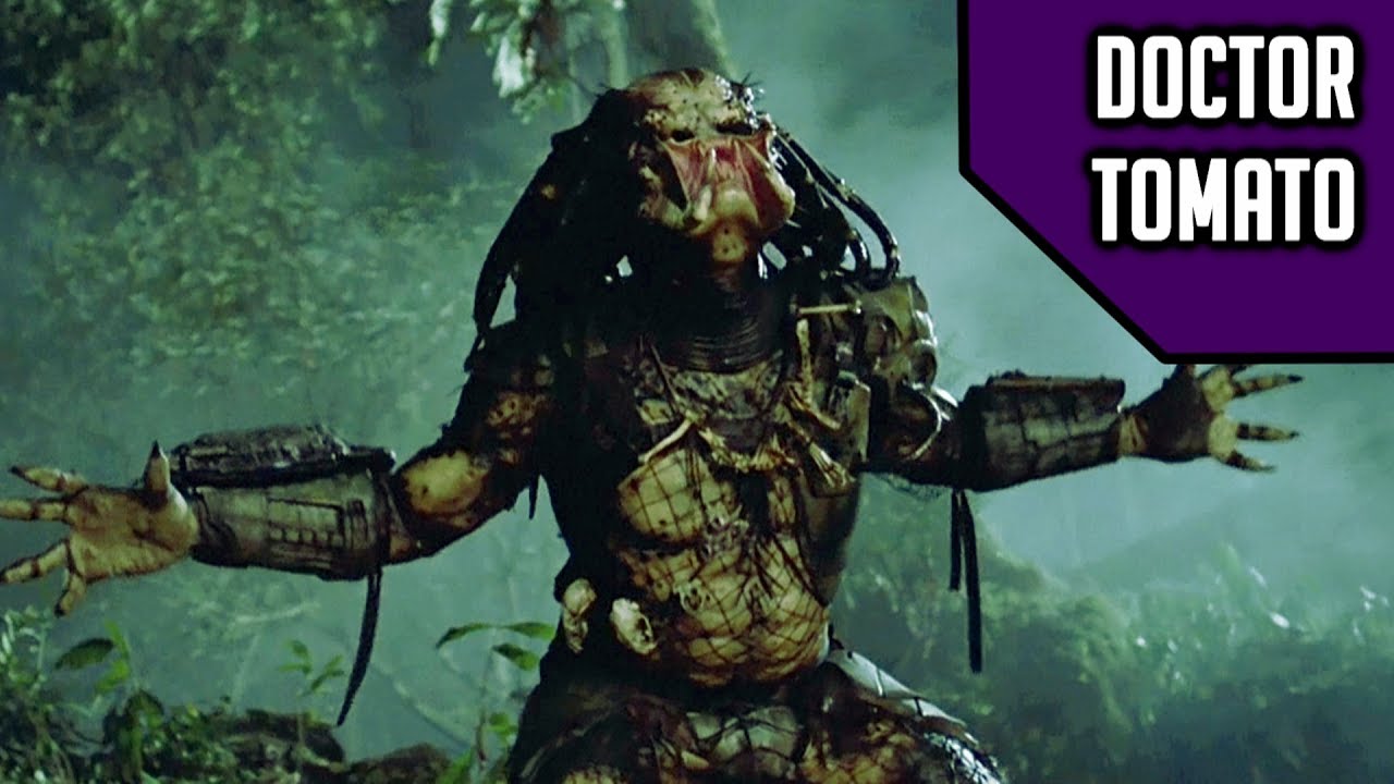 Predator Doctor PREDATOR Review - DoctorTomato - YouTube