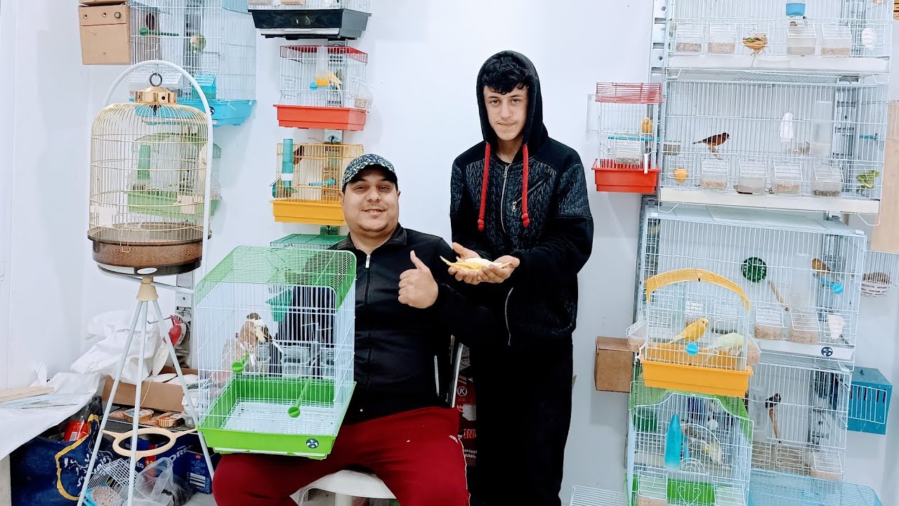 زيارة خفيفة عند الصديق رضى الطفل  المولوع الصغير الطيور المعروضة للبيع🐦🐦🦜🦜رقم الهاتف/0619227462