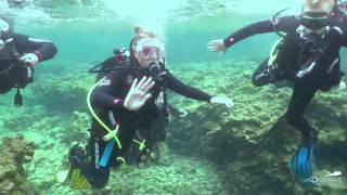 Try Scuba