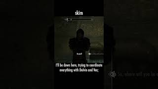 skim — The Elder Scrolls V: Skyrim dialogue scene