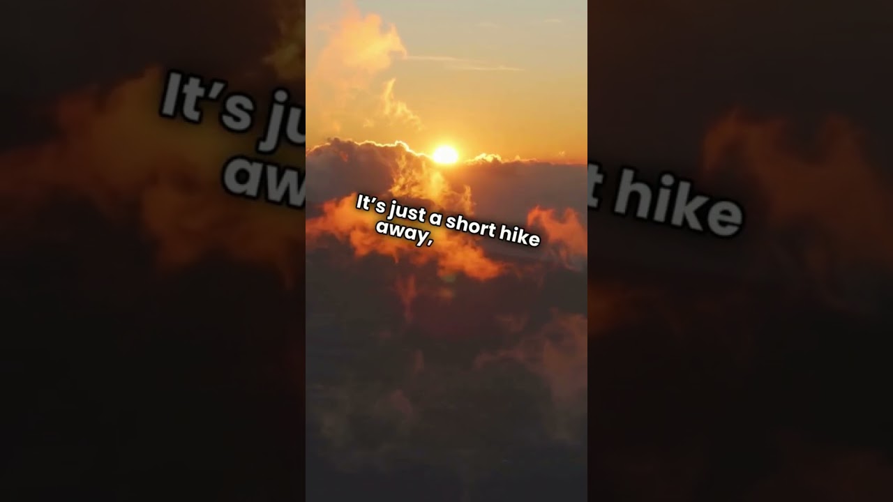 Local Travel Secrets Only Insiders Will Tell You 🗺️🤫 