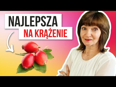 Wideo: Gdzie rośnie dzika róża i jakie są jej właściwości?