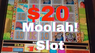 Playing $20 on Moolah! Slot at Sunset Station Casino - Henderson, NV by LetYrLiteShine 793 views 2 weeks ago 6 minutes, 15 seconds