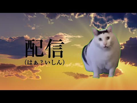 ミーム　木緒ラジオ【46】