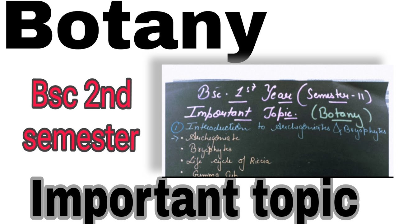 Bsc 2nd semester Botany Important Topic 2024 | #bsc #ccs #msu #botany ...
