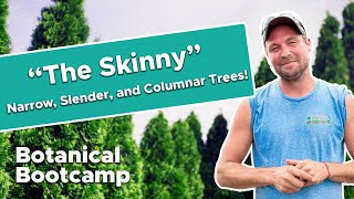 The skinny on narrow, slender, and columnar trees! | Slender Trees | Bates Botanical Bootcamp screenshot 3