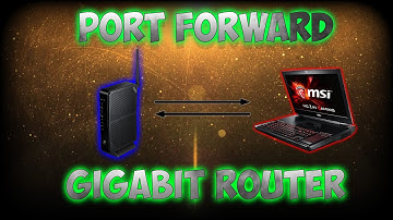 ZyXEL VMG4381-B10A: Port Forwarding (Gigabit Internet Router)