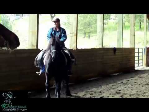 Cowgirl on a Friesian