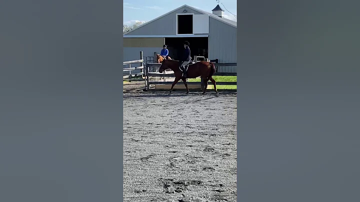Alexis Cox Cokee Open w/t Hunter