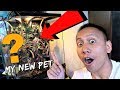 Meet My New Pet | Vlog #405