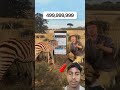 🦓📲 Zebra Kar Raha Subscribe #TataVibes