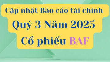 Cập nhật Báo cáo Tài chính Quý 3 Năm 2025 của Cổ phiếu BAF