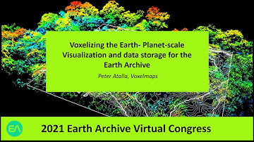 Voxelizing the Earth: Planet-Scale Visualization and Data Storage for the Earth Archive
