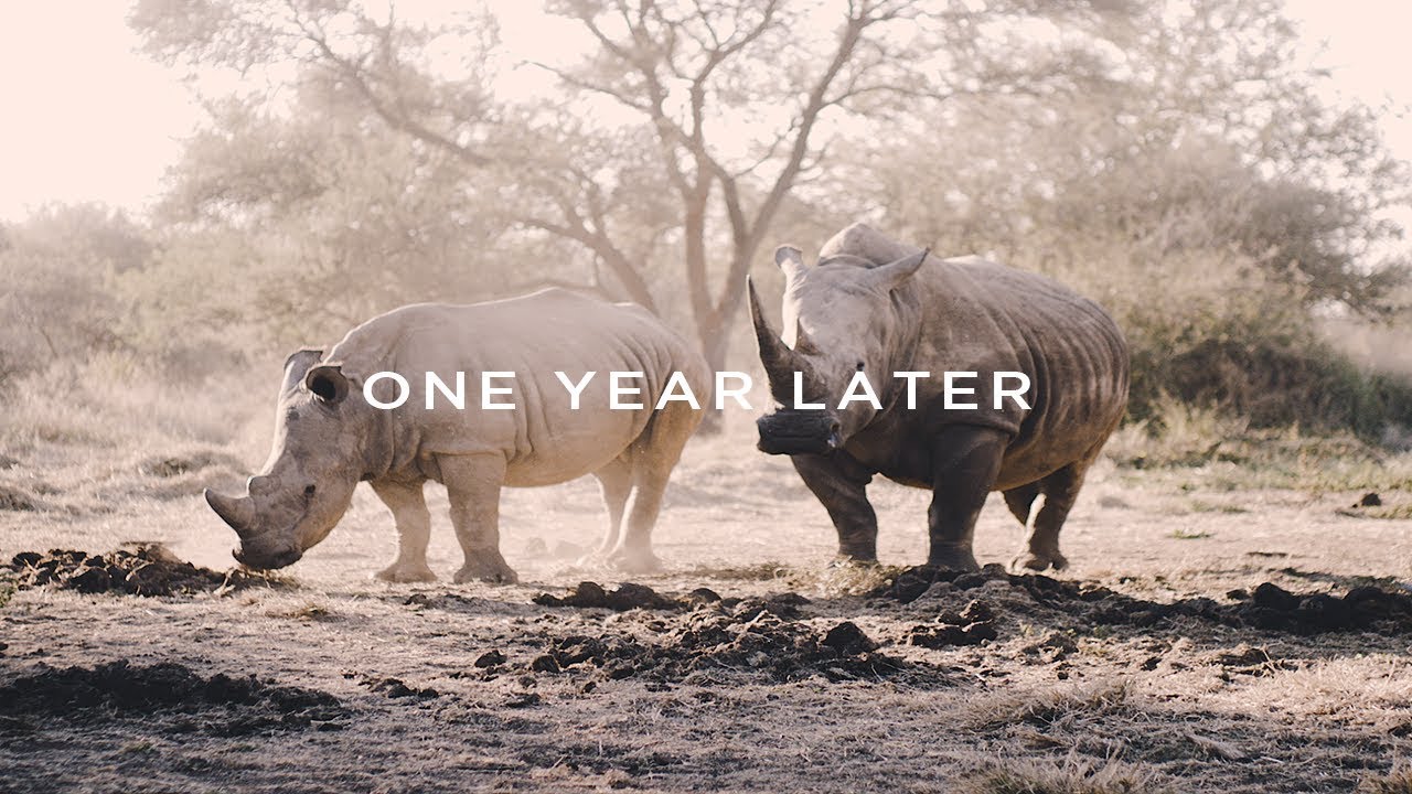 Hanson Inspired Promo