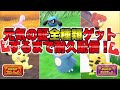 【色違い厳選】12時間経過〜色違いげんきの証全種類ゲットするまで耐久配信!イベント大量発生!