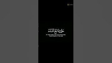 ووصينا الإنسان بوالديه إحسانا القارئ إسلام صبحي