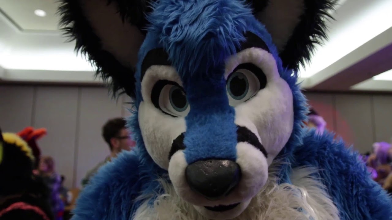 Texas Furry Siesta 2019 Con Video