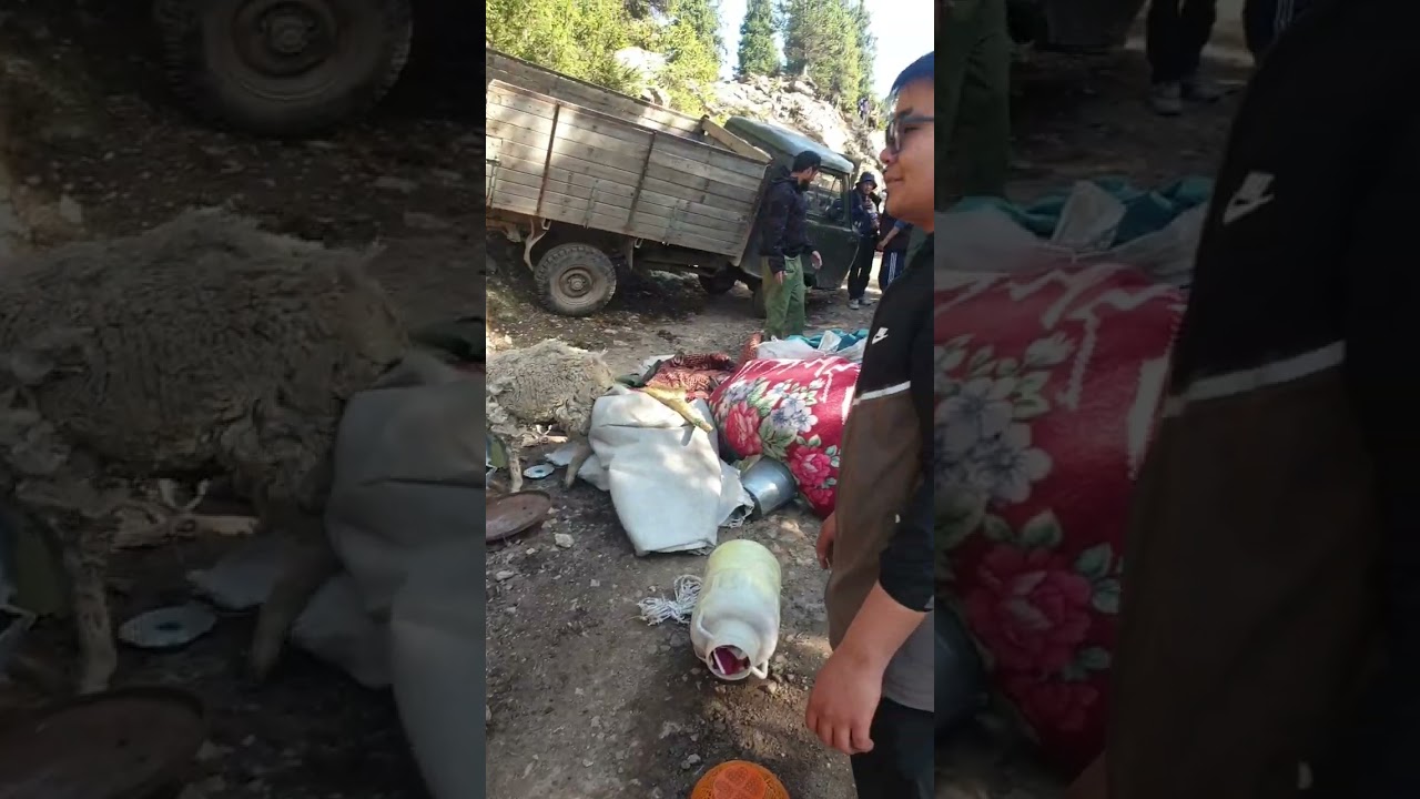 Алтын Арашан 2025