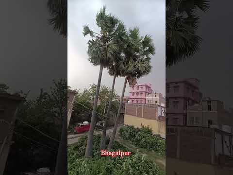 Bhagalpur ka Mosam. #nitish_bihari_vlogs #bhagalpur #bihar #mosam