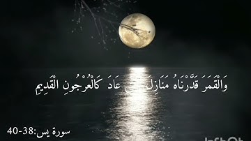 سورة يس:38-40