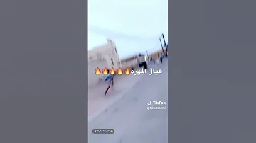 ضرابة المهره 