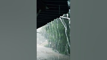 Thumbnail of Rainy day ☔ #cinematography #cinematic #nature #viral #viralvideo #foryou #fyp