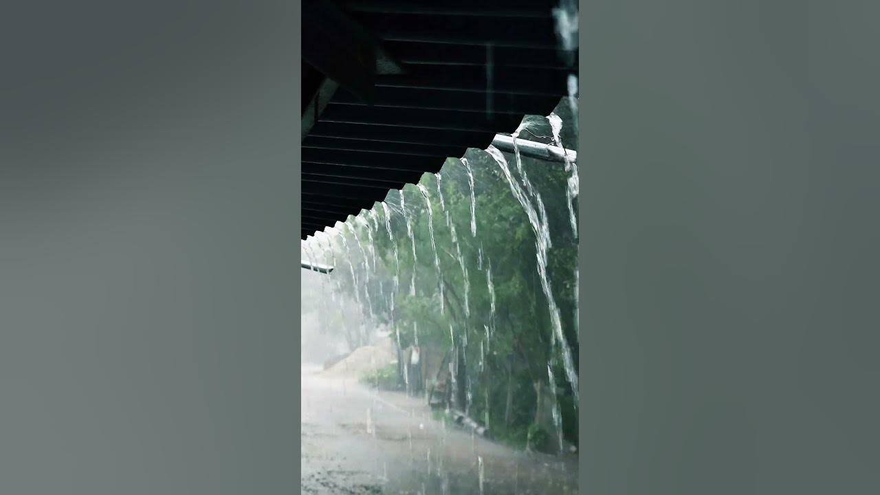 Rainy day ☔ #cinematography #cinematic #nature #viral #viralvideo #foryou #fyp