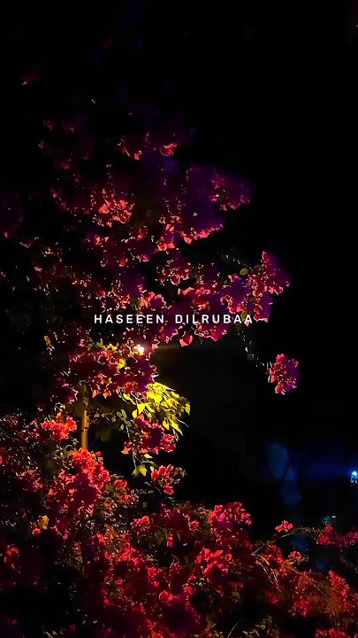 jawani janeman haseen dilruba mile to dil jawan nisar ho gaya #status #lyrics #shorts #shortsfeed