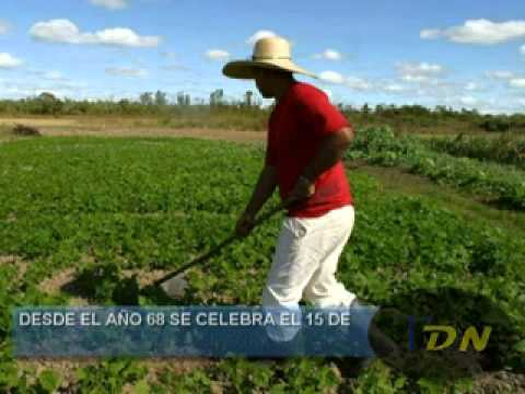 Celebremos El Dia Del Agricultor Costarricense Youtube