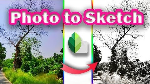 Photo to Sketch editing tutorial for Beginners.  #snapseed #sketch #art #android_edit