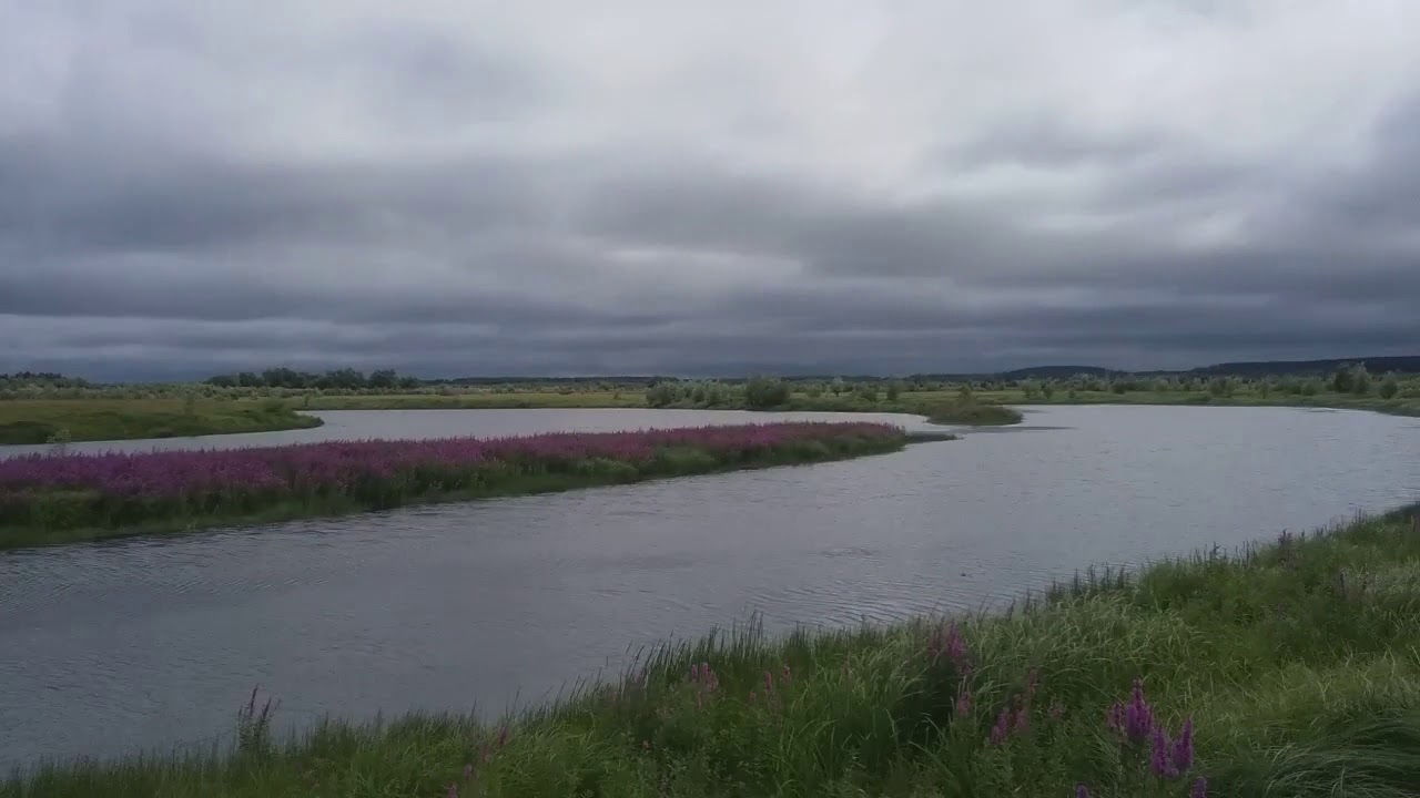 Муромцевский Район Фото