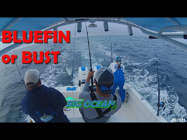 Episode 5 – Bluefin or BUST