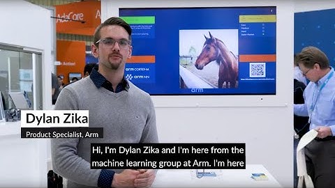 (Wo)man vs Machine Learning: Who Can Win the Image Classification Race?