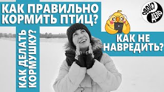 Как и чем ПРАВИЛЬНО кормить птиц? Как делать кормушку? Роль птиц | «Слово и дело»