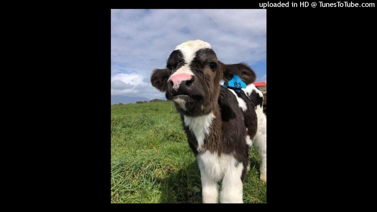 [FREE FOR PROFIT] KA$HDAMI - I KNOW X LIL TECCA TYPE BEAT