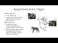 Biomes and Ecosystems Quiz