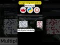 Build an Image Segmentation AI App in 60 Seconds! #computervision #coding #deeplearning #programming