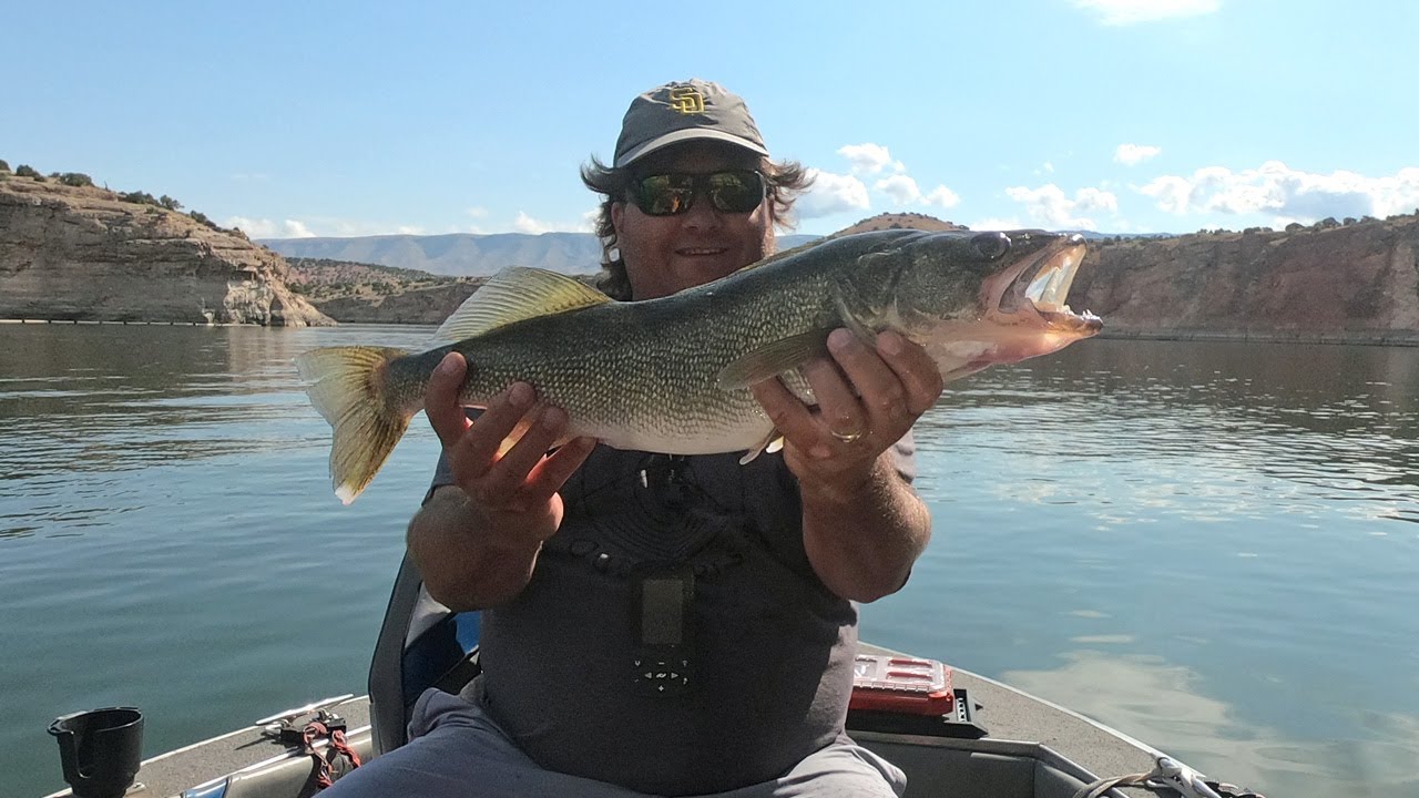 Hanging out in a fishy spot