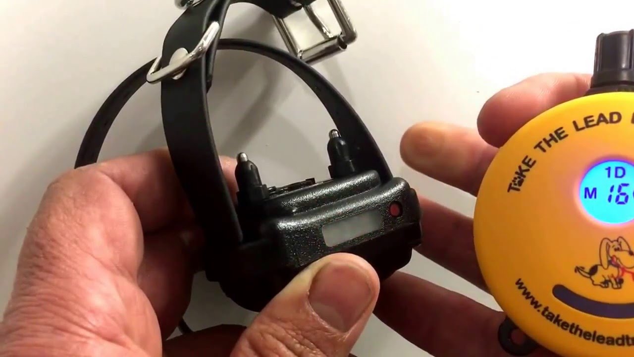 How to use the ET300 Mini Educator e-collar. Features of the Mini