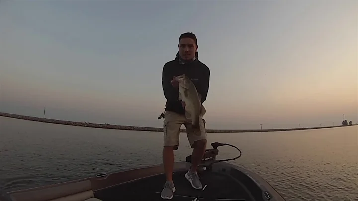 BIG BASS Destroys my frog on the Delta