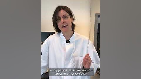 Sanquin Stories, Wendy Swelsen, medisch immunoloog op het HLA-lab, vertelt over haar werk.