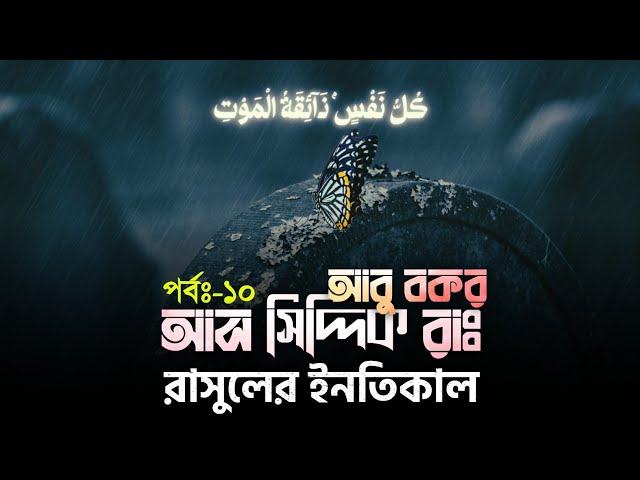 পর্বঃ-১০ ┇ রাসুলের ইনতিকাল ┇ আবু বকর (রাঃ) ┇ Islamic Audio Book ┇ Insight Audio Book ┇