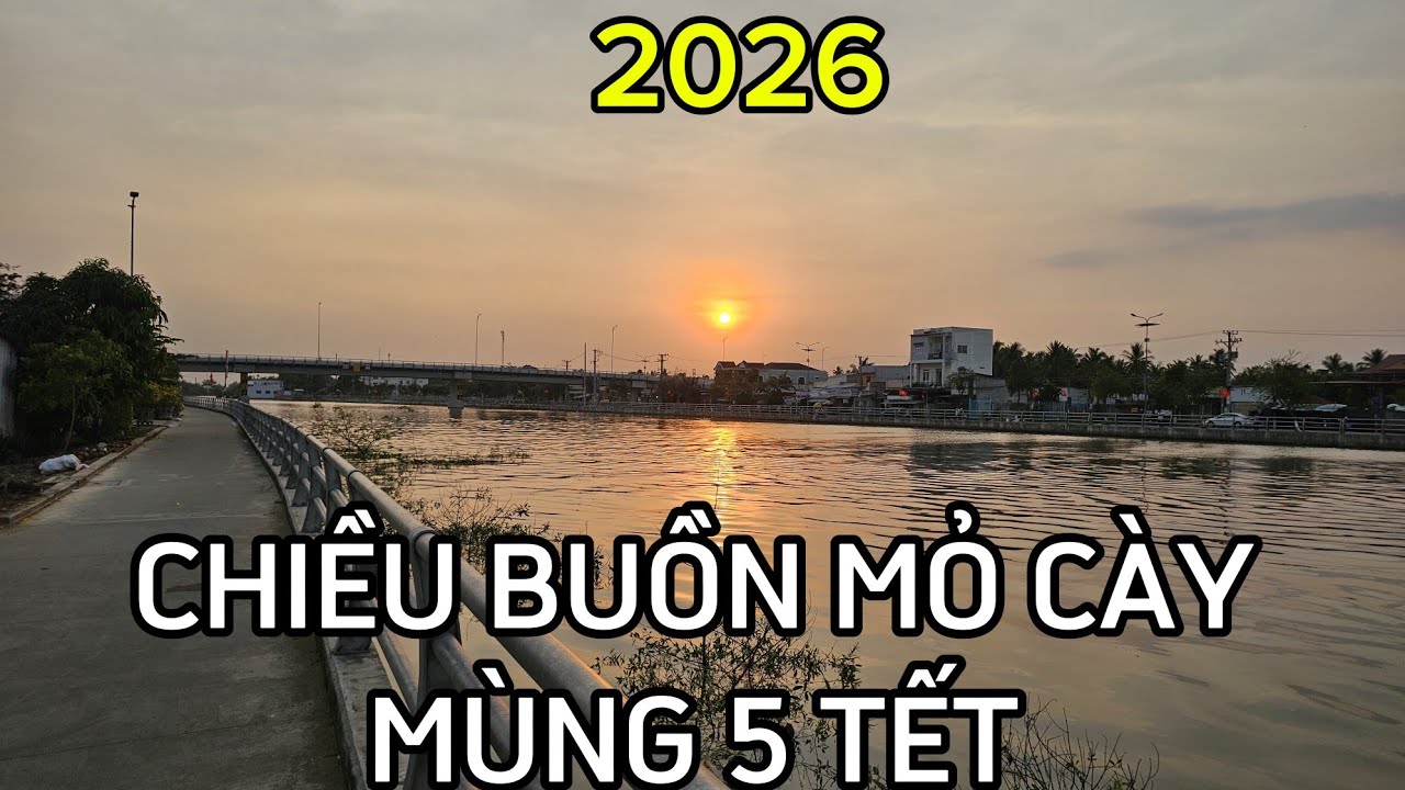 Chiều buồn Mỏ Cày mùng 5 Tết 