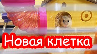 VLOG Новая клетка Стёпы и Цаци