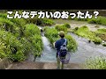 田舎を流れる小さな川、この合流点が凄かった