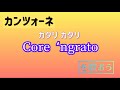 カタリ・カタリ「Core ‘ngrato」を歌おう オペラ歌手押川浩士