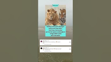 Saat introvert dan extrovert bersatu
